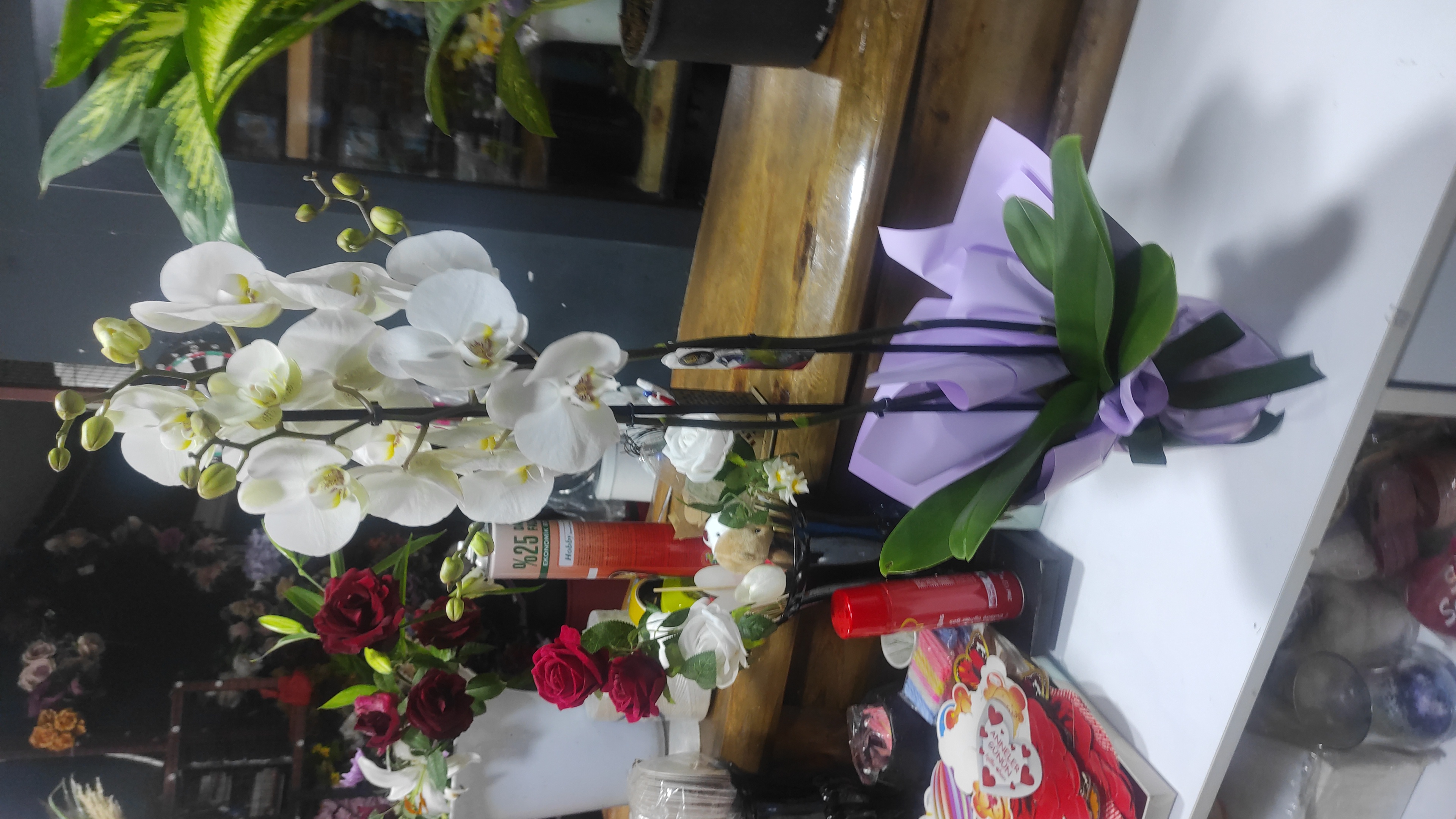 Orkide ithal Çift Dal